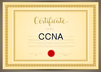 CCNA 국제 IT 자격증