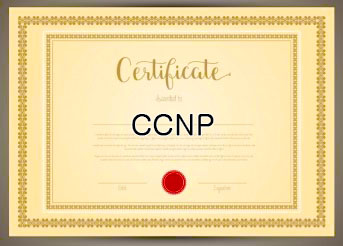 CCNP 국제 IT 자격증