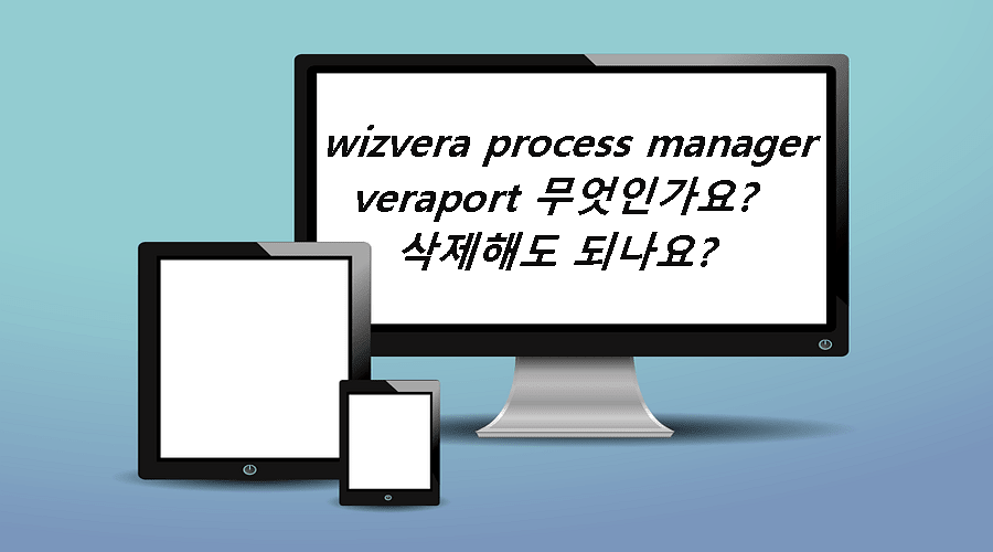 Wizvera-process-manager-Veraport